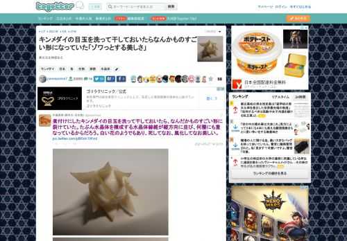 異次元生物感ある