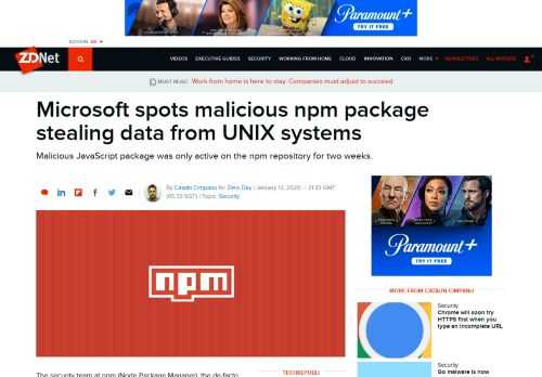 Malicious JavaScript package was only active on the npm repository for two weeks.