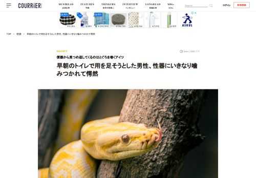 7月5日の早朝に、65歳のオーストリア人男性がトイレで悪夢的なサプライズに見舞われたと英紙「インディペンデント」などが報じている。 彼はその日、普通に用をたそうと午前6時頃に便座に腰を下ろした。しばらくすると、性器のあた