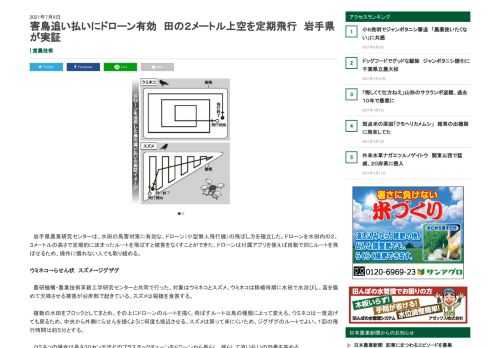 岩手県農業研究センターは、水田の鳥害対策に有効な、ドローン（小型無人飛行機）の飛ばし方を確立した。ドローンを水田内の２、３メートルの高さで定期的に決まったルートを飛ばすと被害をなくすことができた