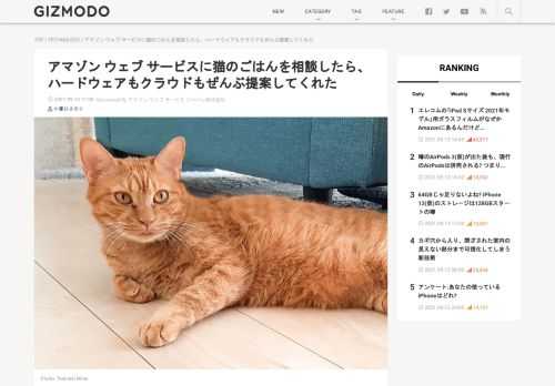 猫のごはんの取り合いを解決すべく、自動給餌器に｢猫を見分けてごはんを出すAI｣を搭載したい。でもどうやればいいの...？その課題、AWS（アマゾン ウェブ サービス）がこたえます！