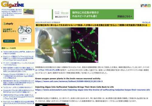 脊椎動物の生命活動を支える脳には酸素が欠かせないため、重度の低酸素環境に置かれて窒息した生物は、神経活動を停止してしまいます。ドイツのルートヴィヒ・マクシミリアン大学の研究チームが2021年10月に公開した論文では、窒息により神経活動が完全に停止したオタマジャクシの脳に藻類を注入することで、脳内に酸素が生成されて神経活動を再開し「生き返った」ことが発表されました。