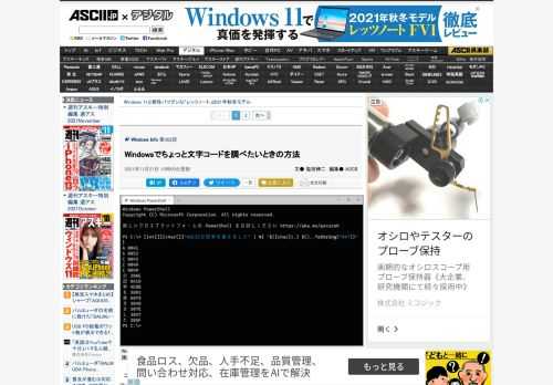 コンピュータを使っていると、文字コードを調べなければならないことがある。