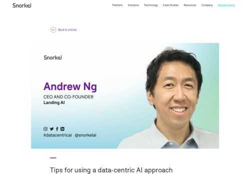 Learn more about tips for a data-centric AI approach from Andrew Ng in this exciting post from the future of data-centric AI talk series.