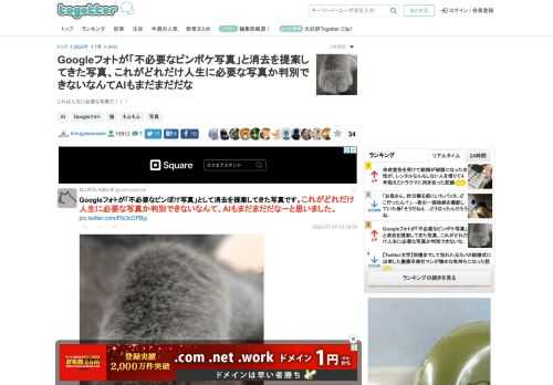 これは人生に必要な写真だ！！！